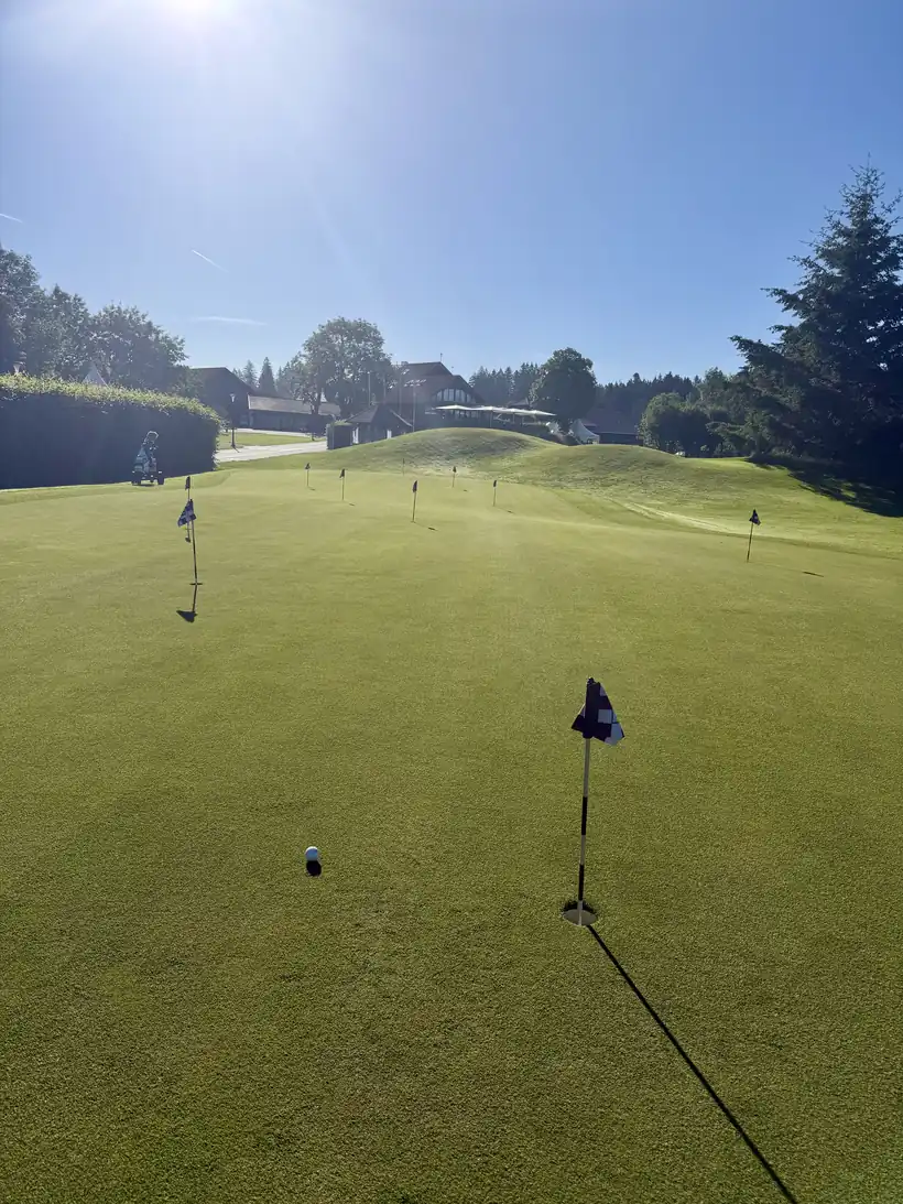 Putting Green mit Fahnen im Morgenlicht